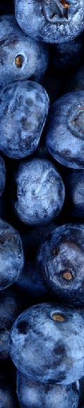newsite-blog-listing-images-12.png